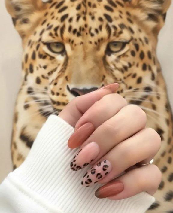 🐆
