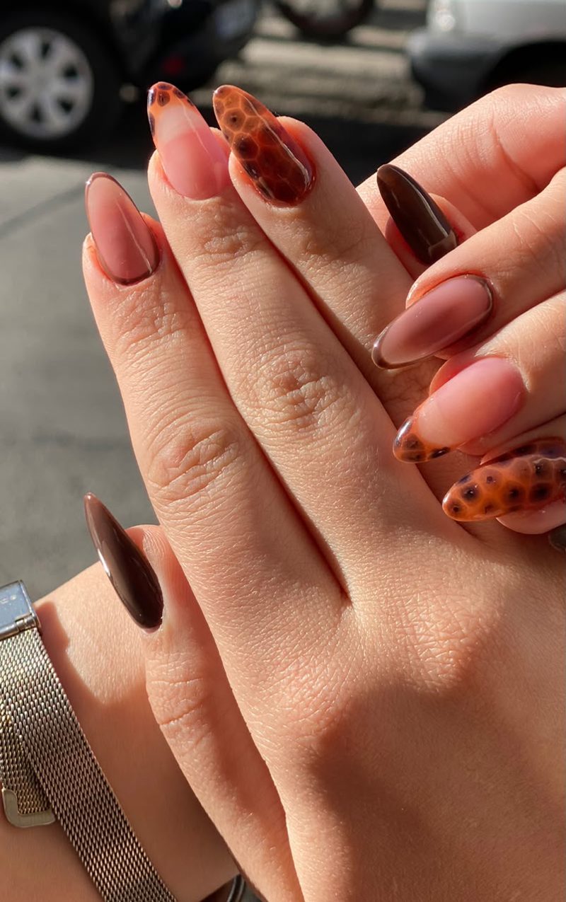 🐆