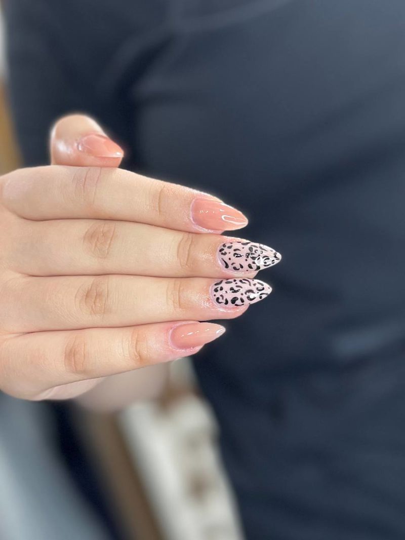 🐆