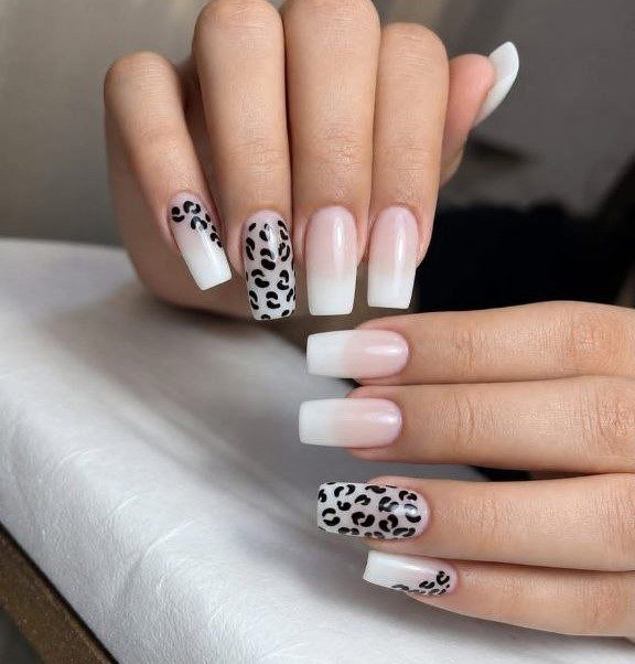 🐆