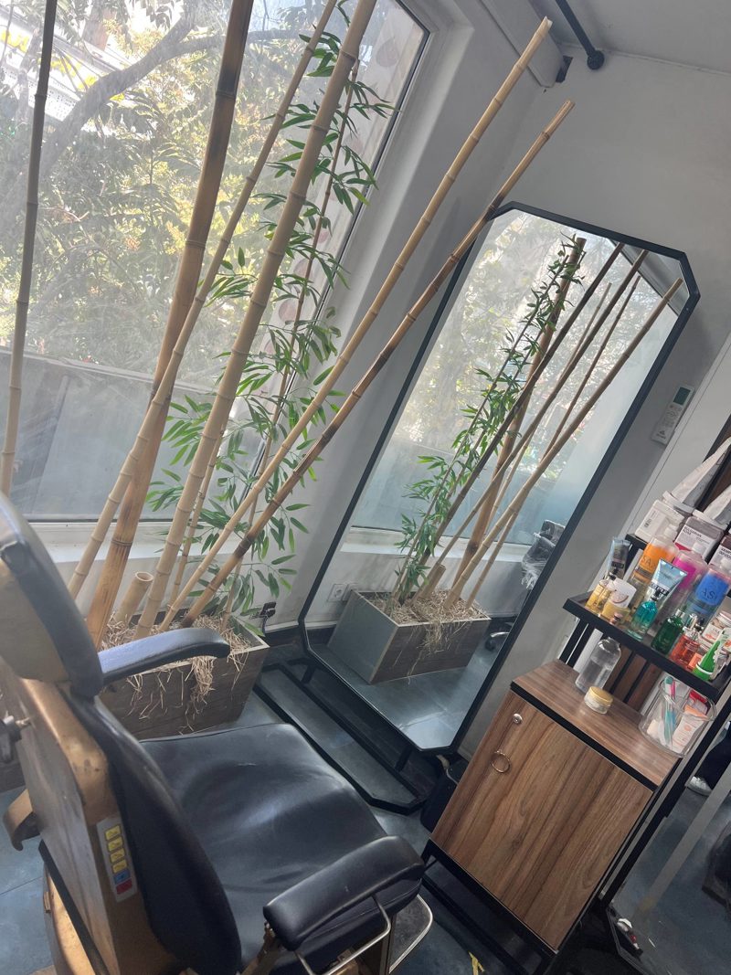 فضای سالن Shimabeauty 