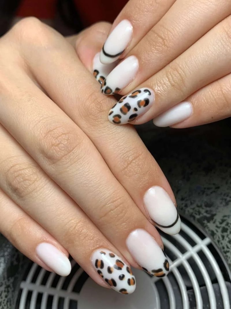 🐆