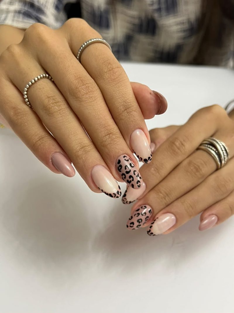 🐆